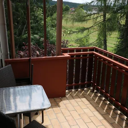 Apartament App 2312 - Kuschelnest Mit Aussicht Und Indoorpool - Schluchsee, Hochschwarzwaldkarte Schluchsee
