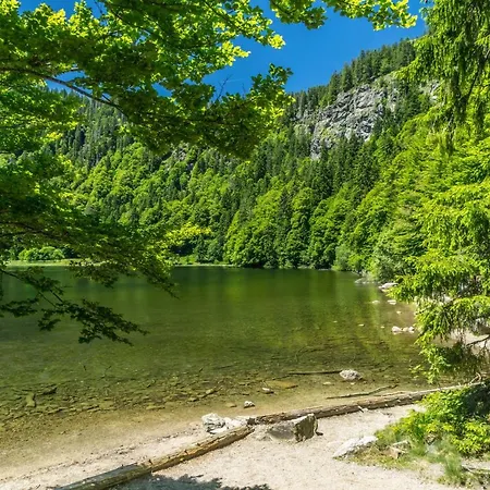 Apartament App 2312 - Kuschelnest Mit Aussicht Und Indoorpool - Schluchsee, Hochschwarzwaldkarte