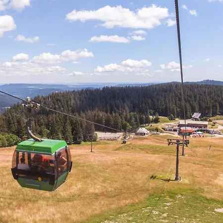 App 2312 - Kuschelnest Mit Aussicht Und Indoorpool - Schluchsee, Hochschwarzwaldkarte *