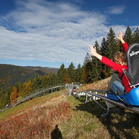 App 2312 - Kuschelnest Mit Aussicht Und Indoorpool - Schluchsee, Hochschwarzwaldkarte *